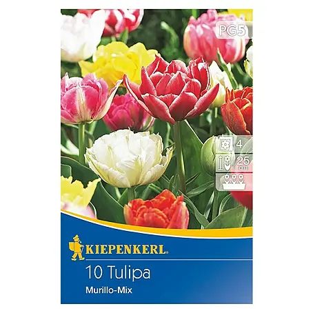 Kiepenkerl  Blumenzwiebeln