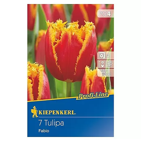 Kiepenkerl Profi-Line Frühlingsblumenzwiebeln