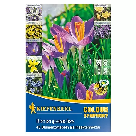 Kiepenkerl  Frühlingsblumenzwiebeln Colour Symphony Bienenparadies