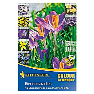 Kiepenkerl Frühlingsblumenzwiebeln Colour Symphony Bienenparadies (Anemone blanda, 45 Stk., Bienenparadies)