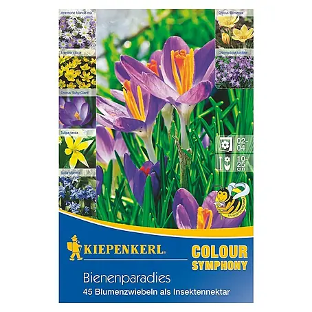 Kiepenkerl  Blumenzwiebeln Colour Symphony Bienenparadies