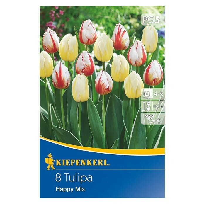 Kiepenkerl Frühlingsblumenzwiebel-MixTulipa 'Happy Mix', 8 Stk. Front View