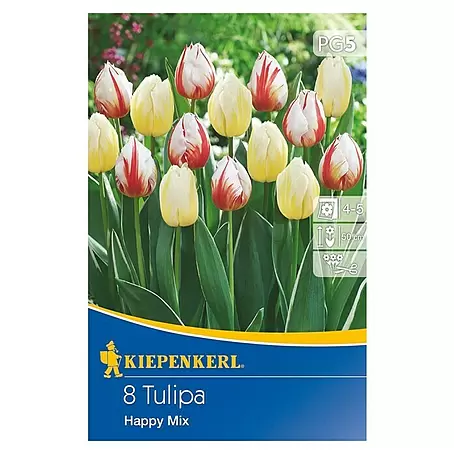 Kiepenkerl  Frühlingsblumenzwiebel-Mix