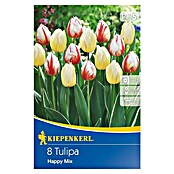 Kiepenkerl Frühlingsblumenzwiebel-Mix (Tulipa 'Happy Mix', 8 Stk.) | BAUHAUS