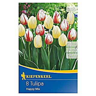 Kiepenkerl Frühlingsblumenzwiebel-Mix (Tulipa 'Happy Mix', 8 Stk.)