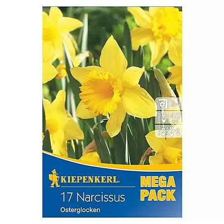 Kiepenkerl  Frühlingsblumenzwiebeln Mega-Pack Osterglocke