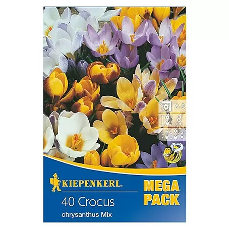 Kiepenkerl  Frühlingsblumenzwiebeln Mega-Pack Wildkrokusmischung