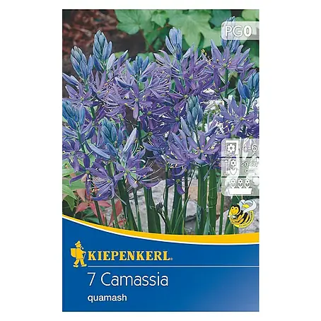 Kiepenkerl  Blumenzwiebeln Prärielilie