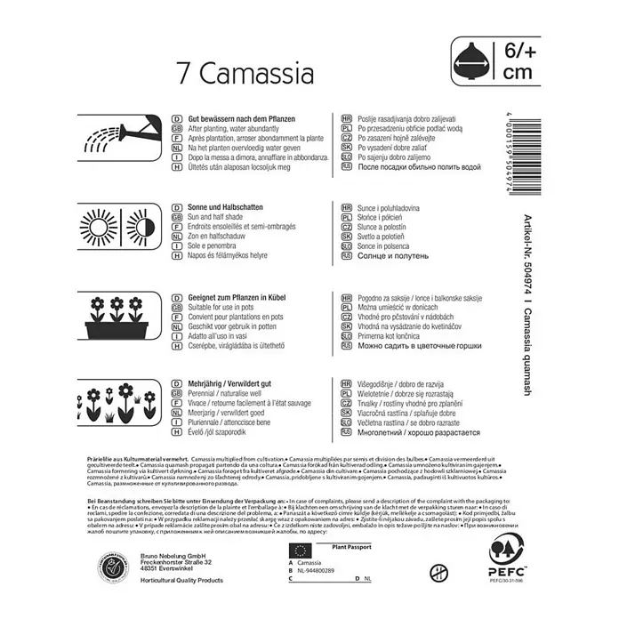 Kiepenkerl Blumenzwiebeln Prärielilie - Camassia quamash, 7 Stk. - Produktinformationen für 7 Camassia Blumenzwiebeln, einschließlich Pflanzanweisungen, Standortpräferenzen und Pflegehinweise.