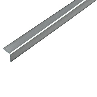 Alberts Perfil angular (Isósceles, Aspecto de acero inoxidable, L x An x Al: 1.000 x 20 x 20 mm, Plástico)