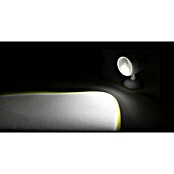 Ritter Leuchten LED reflektor sa senzorom pokreta (1 W, Senzor pokreta, 60 x 98 x 105 mm, Bijelo)