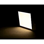 Ritter Leuchten LED-Unterbauleuchte Dimpod (4,5 W, L x B x H: 11 cm x 12,5 mm x 20 cm, Warmweiß) | BAUHAUS