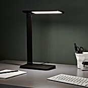 LED-Tischleuchte Seamont (9 W, L x B x H: 31 x 12 x 37,4 cm, Schwarz) | BAUHAUS