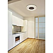 Globo LED-Deckenleuchte rund Goffi (40 W, Opal, Ø x H: 49,5 x 9,5 cm, Dimmbar)