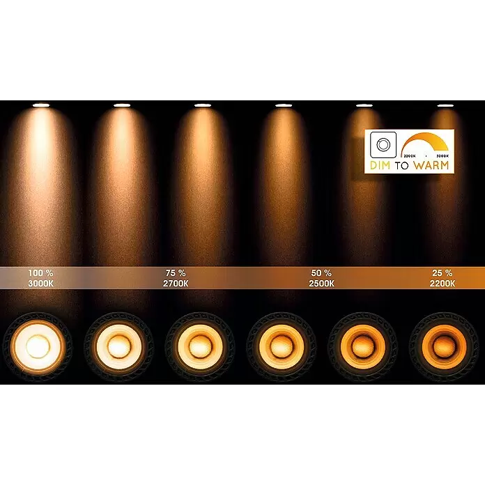 Lucide Deckenstrahler Nigel - 10 W, L x B x H: 20 x 10 x 11,5 cm, Schwarz, GU10 - Detailaufnahme