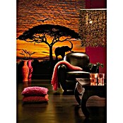 Komar Fototapete African Sunset (4-tlg., 194 x 270 cm, Papier)