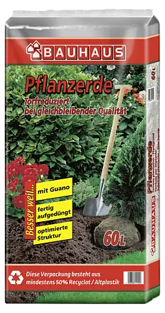 quedlinburger saatgut katalog Kräutersamen Zitronengras von Quedlinburger SAATGUT main image 0