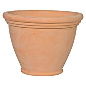 13-TOPF FORSYTHIA TERRA WHITEWASH 26X19