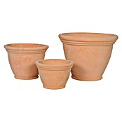 13-TOPF FORSYTHIA TERRA WHITEWASH 26X19