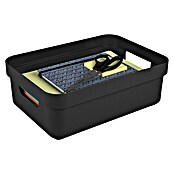 Sunware Sigma home Opbergbox (l x b x h: 35 x 24,6 x 12,2 cm, Kunststof, Zwart) | BAUHAUS