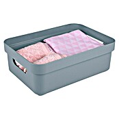 Sunware Opbergbox Sigma Home (l x b x h: 35 x 24,6 x 12,2 cm, Kunststof, Blauwgrijs) | BAUHAUS