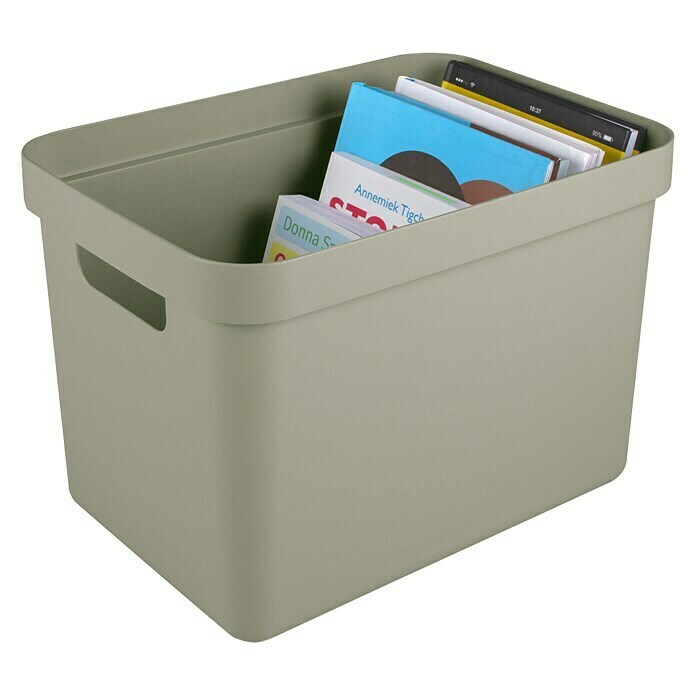 Sunware Opbergbox Sigma Home (l x b x h: 35 x 24,6 x 24,3 cm, Kunststof, Lichtgroen) | BAUHAUS