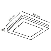 Spotlight Deckenleuchte Finn (14 W, L x B x H: 29 x 29 x 6,5 cm, Geölte Eiche) | BAUHAUS