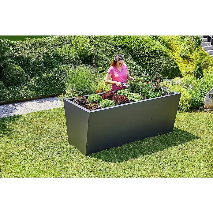 Gutta Hochbeet Valenta 200 - 200 x 90 x 80 cm, Aluminium, Anthrazit - Eine Frau pflegt ein Hochbeet mit Salat und Gemüse. Das Beet ist aus dunklem Metall gefertigt und steht auf einem Rasen.