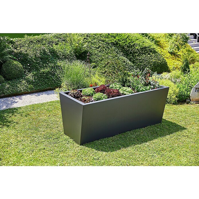 Gutta Hochbeet Valenta 200 (200 x 90 x 80 cm, Aluminium, Anthrazit) | BAUHAUS