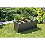Gutta Hochbeet Valenta 200 (200 x 90 x 80 cm, Aluminium, Anthrazit) | BAUHAUS