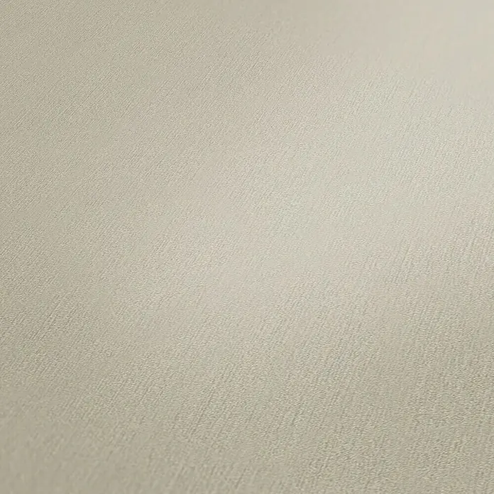 A.S. Création New Life Vliestapete - Beige, Uni, 10,05 x 0,53 m - Detailaufnahme einer dezent gemusterten, beigen Oberfläche, ideal für subtile Akzente in Wohnräumen, die eine beruhigende Atmosphäre schaffen.