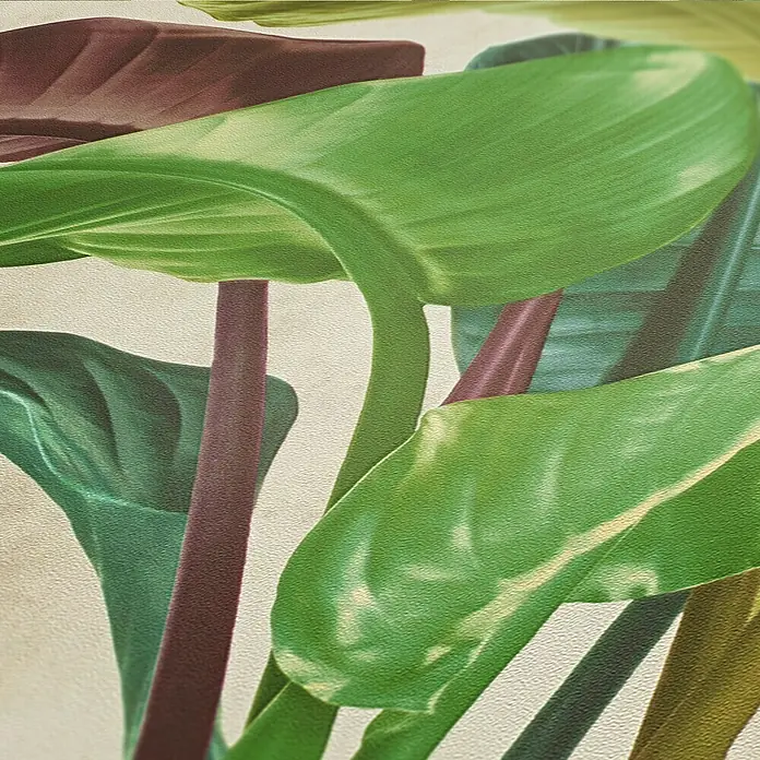 A.S. Création Metropolitan Stories II Vliestapete Blätter - Bunt, Floral, 10,05 x 0,53 m - Nahaufnahme einer Zimmerpflanze mit großen, grünen Blättern und burgunderroten Stielen, die eine ruhige, natürliche Atmosphäre ausstrahlt.