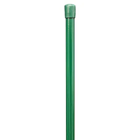 Alberts  Geflechtspannstab