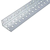 Alberts Winkelprofil Conceptor® (Verzinkt, L x B x H: 2.000 x 25 x 45 mm, Gelocht, Stärke: 1,5 mm) | BAUHAUS