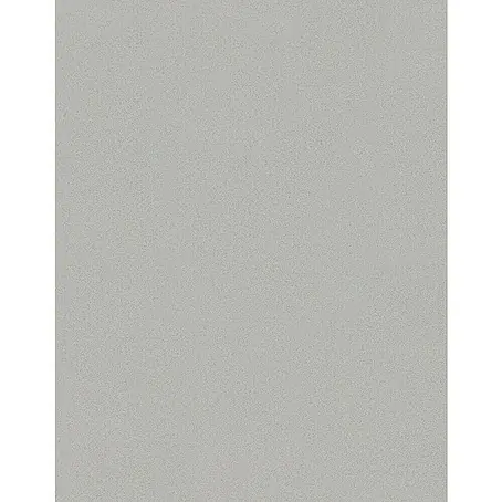 SCHÖNER WOHNEN-Kollektion New Spirit Vliestapete