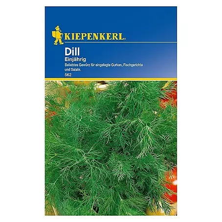 Kiepenkerl  Kräutersamen Dill