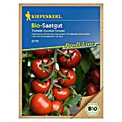 Kiepenkerl Profi-Line Gemüsesamen Tomate (Bolstar Gimli Bio, Solanum lycopersicum, Erntezeit: Juli) | BAUHAUS