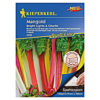 Kiepenkerl Profi-Line Gemüsesamen Mangold Bright Lights & Charlie (Beta vulgaris var. cicla, Erntezeit: Mai)