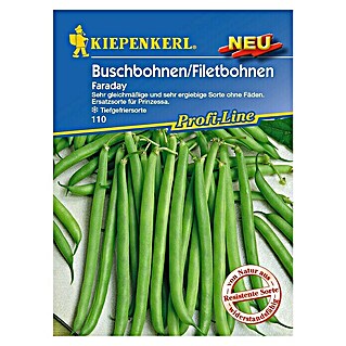 Kiepenkerl Profi-Line Gemüsesamen Buschbohne (Faraday, Phaseolus vulgaris var. nanus, Erntezeit: Juli)