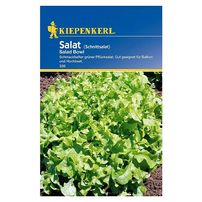 Kiepenkerl Salatsamen Pflücksalat Salad Bowl - Lactuca sativa - Das Bild zeigt eine Packung Kiepenkerl Salat Bowl (Schnittsalat) Samen, mit einem üppigen grünen Salat im Vordergrund, ideal für Balkone und Hochbeete.