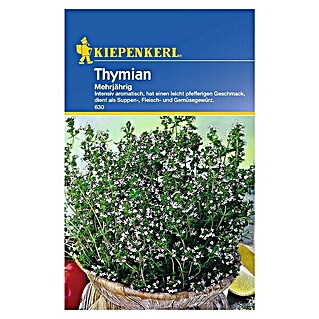 Kiepenkerl Kräutersamen Thymian (Thymus vulgaris, Saatzeit: April, Erntezeit: Ganzjährig)