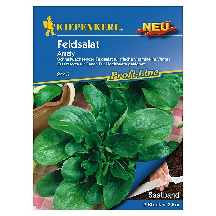 Kiepenkerl Profi-Line Salatsamen Feldsalat (Amely - Saatband, Valerianella locusta, Erntezeit: Ganzjährig) | BAUHAUS