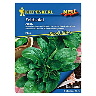 Kiepenkerl Profi-Line Salatsamen Feldsalat (Amely - Saatband, Valerianella locusta, Erntezeit: Ganzjährig)