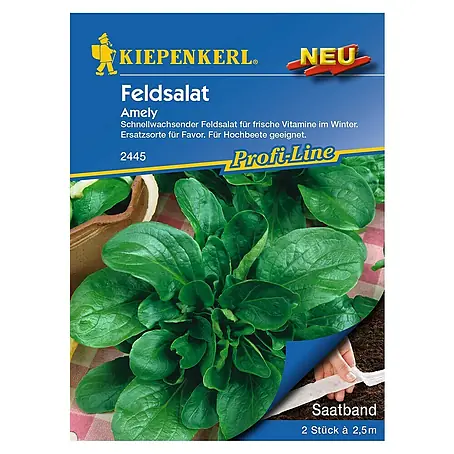 Kiepenkerl Profi-Line Salatsamen Feldsalat