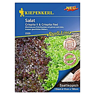 Kiepenkerl Profi-Line Salatsamen (Lactuca sativa, Erntezeit: April)