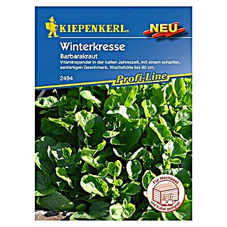 Kiepenkerl Profi-Line Kräutersamen Winterkresse (Barbarea verna, Saatzeit: März, Erntezeit: Oktober)