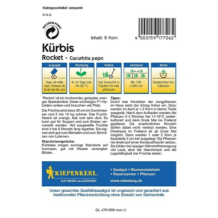 Kiepenkerl Profi-Line Gemüsesamen Kürbis (Cucurbita pepo, Erntezeit: September) | BAUHAUS