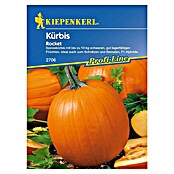 Kiepenkerl Profi-Line Gemüsesamen Kürbis (Cucurbita pepo, Erntezeit: September) | BAUHAUS