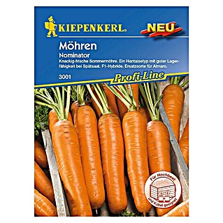 Kiepenkerl Profi-Line Gemüsesamen Möhre (Nominator, Daucus carota, Erntezeit: Juli)