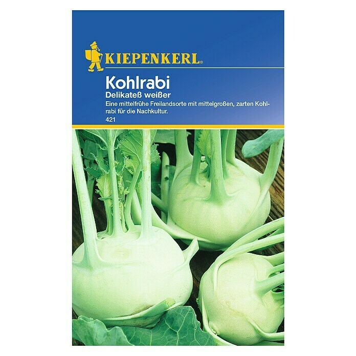 Kiepenkerl Gemüsesamen Kohlrabi Delikateß (Brassica oleracea var. gongylodes, Erntezeit: Juni) - 5 Stück